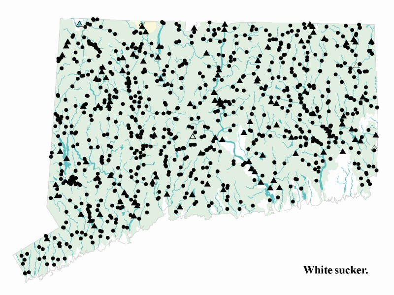 White sucker distribution map.