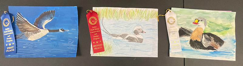 Image of three paintings of ducks that placed in Group one of the 2024 Junior Duck Stamp Art Contest.