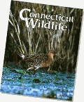 Connecticut Wildlife Magazine