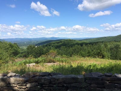 View at Housatonic State Forest