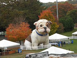 Yale Bulldog with Surrounding Recycling Bins