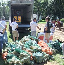 Volunteers for Foodshare, Hartford and Tolland County’s food bank, gleaning on a Connecticut farm.
