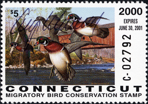 2000 CT Duck Stamp