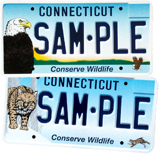 Bald Eagle and Bobcat License Plate Samples