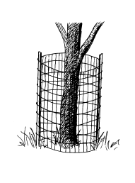 Image of fencing around a tree.