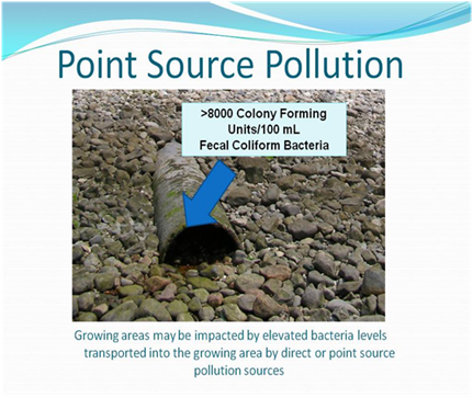 example of point source pollution