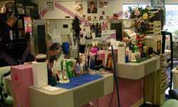 Cosmetology is a popular vocational program with good employment potential.