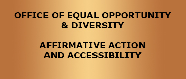Affirmative Action Description