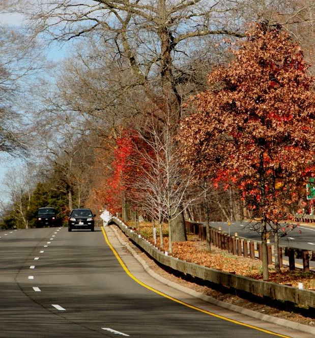 Merritt Parkway Landscaped Median (Autumn)