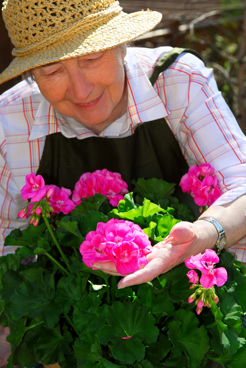 Elderly woman with sunhat tending to her flowers outside