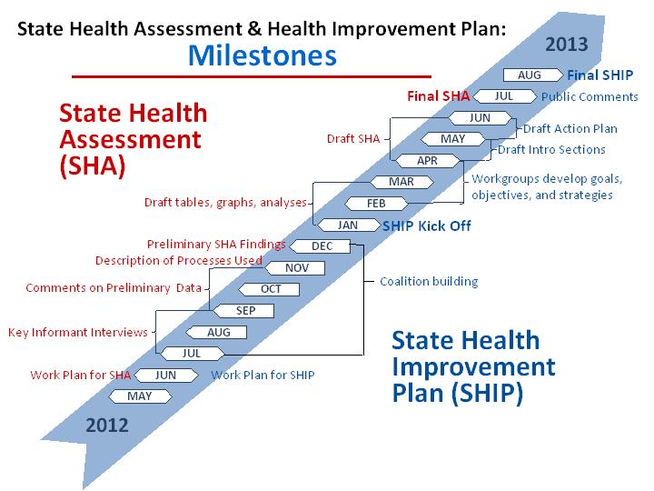 State Health Assessment Milestones