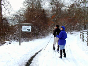 Image of People Cross Country Skiing