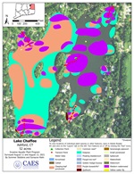 Aquatic plant survey map of Lake Chaffee in Ashford, CT from 2021.