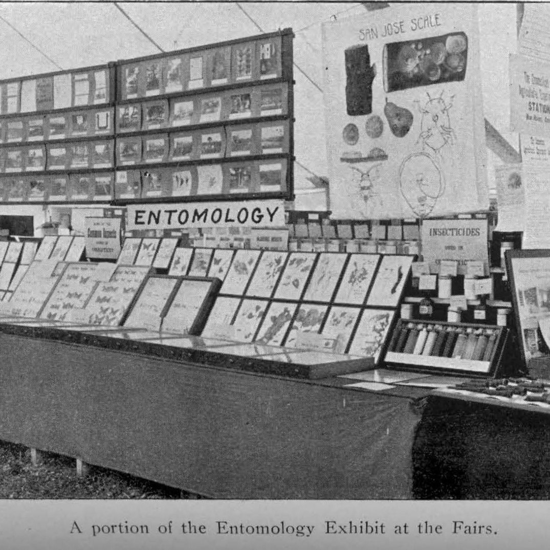state fair entomology exhibit from 1911