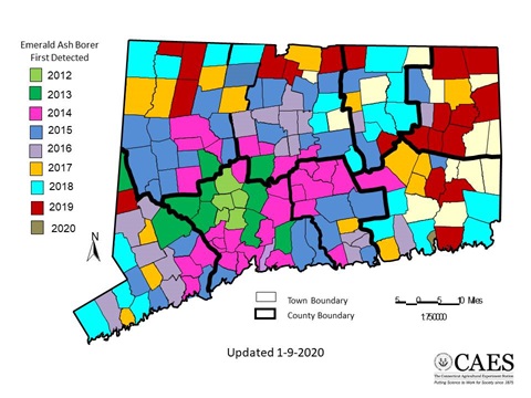 Emerald Ash Borer distribution map for 2020