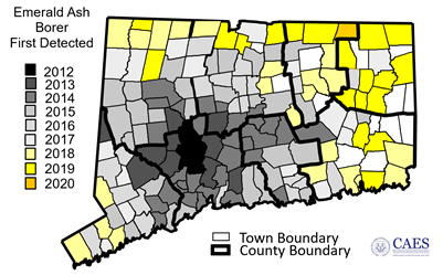 Map of CT depicting the year the Emerald ash borer was discovered in each town.