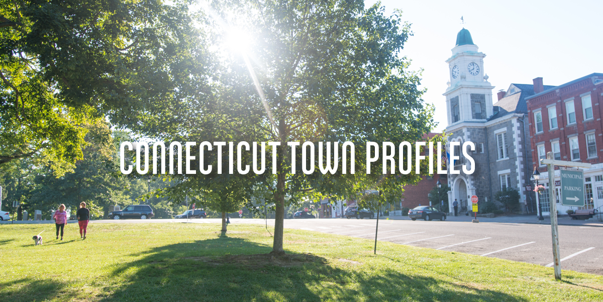 Town Profiles