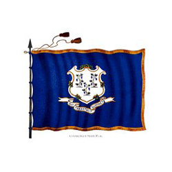 The State Flag