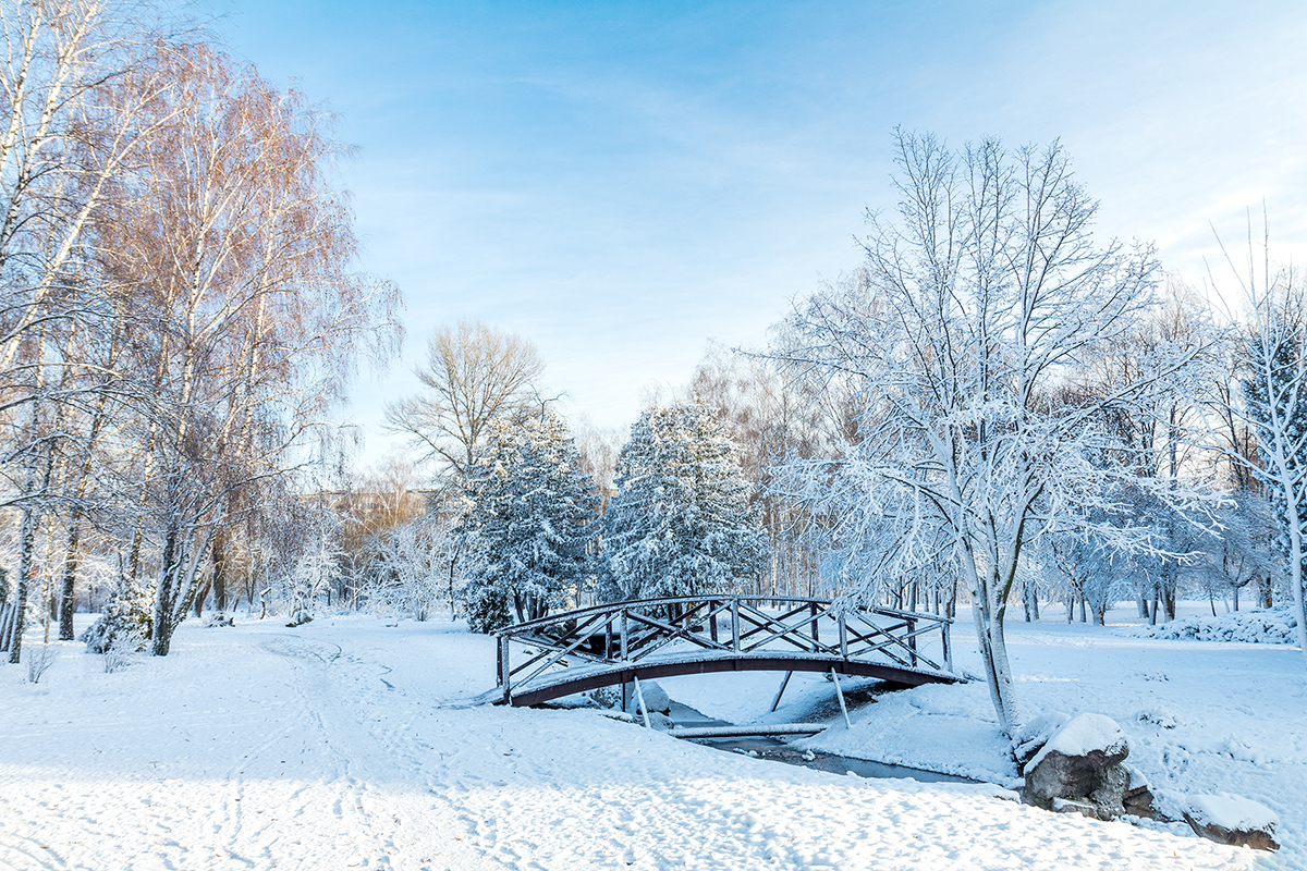Snow covered bridge and trees landscape image