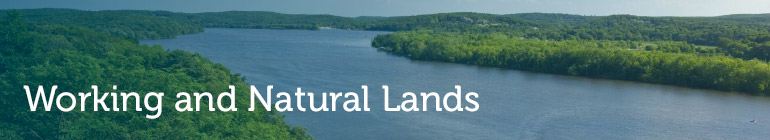 Working and Natural Lands header