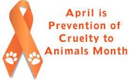 Orange ribbon with paw prints next to orange text that reads "April is Prevention of Cruelty to Animals Month"
