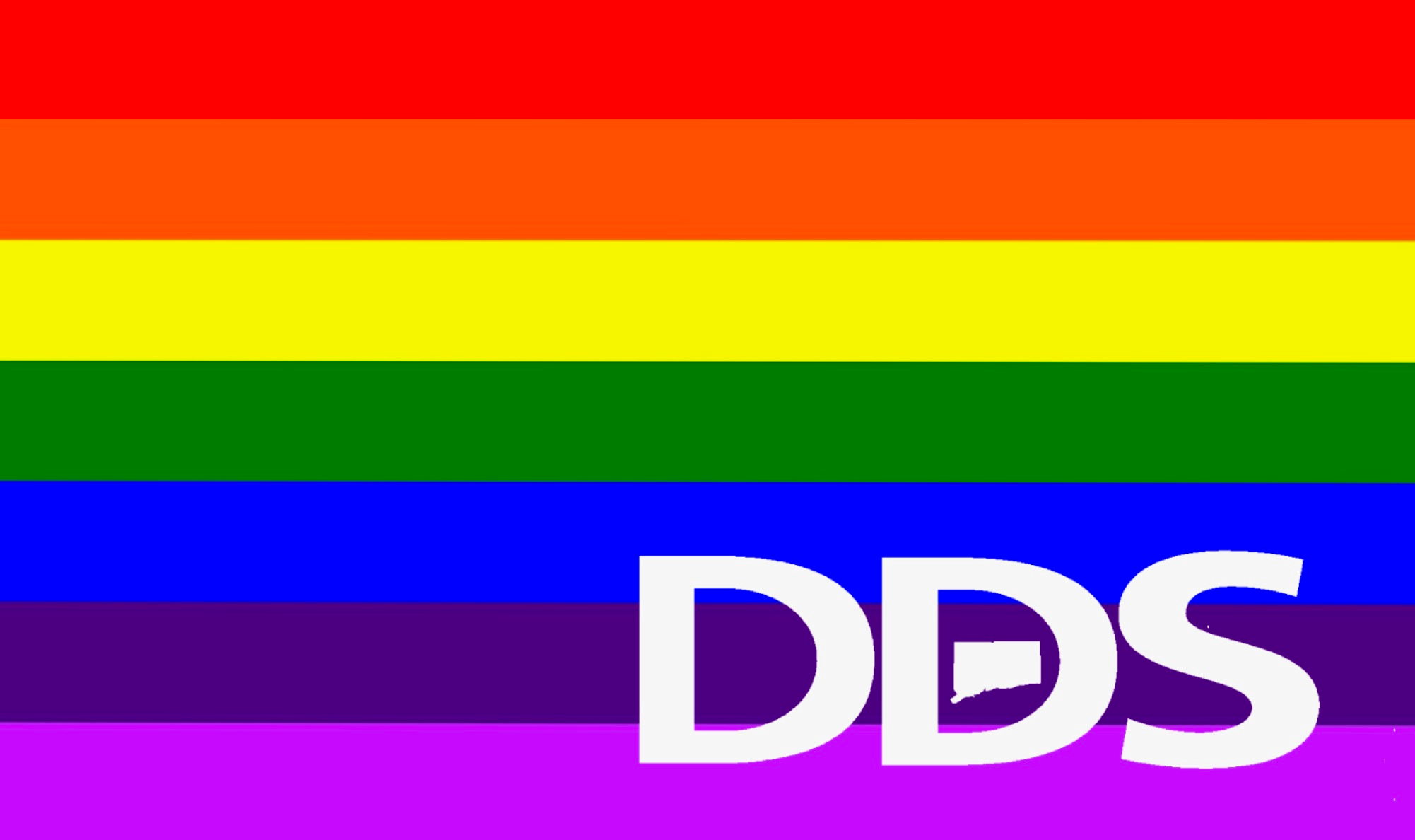 DDS Logo Pride