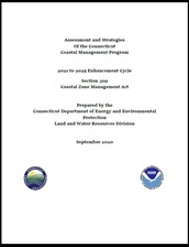 Cover of the CT Section 309 assessment for the 2021 to 2025 enhancement cycle