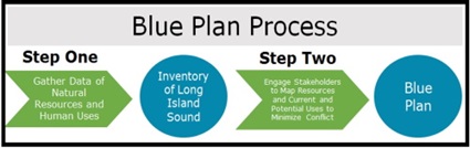 Blue Plan Process