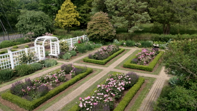 Aerial view of rose garden