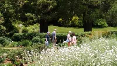 Volunteer-led garden tour during Connecticut's Historic Gardens Day 