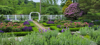 Photo of Rose Garden and arbor of Kellogg Estate