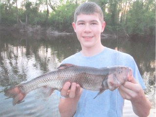 State record fallfish