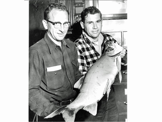 State record lake trout