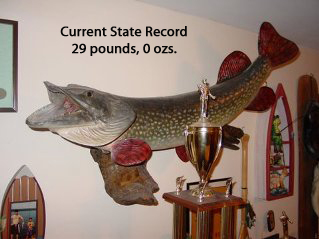 State record northern pike