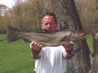 State record tiger trout