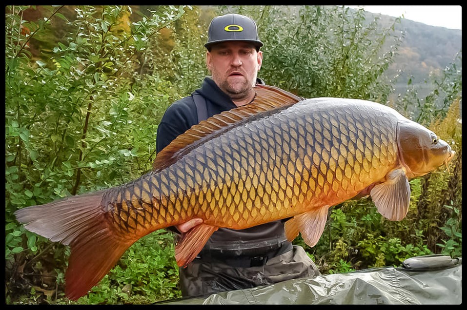 Common Carp Fishing in Connecticut