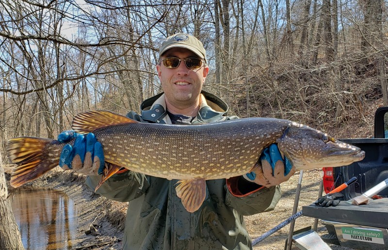Fisheries Biologist Chris McDowell with a nice Northern Pike at one of the managed marshes.