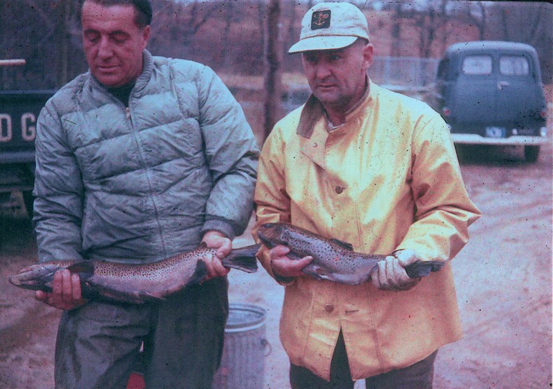 1960 sea run trout