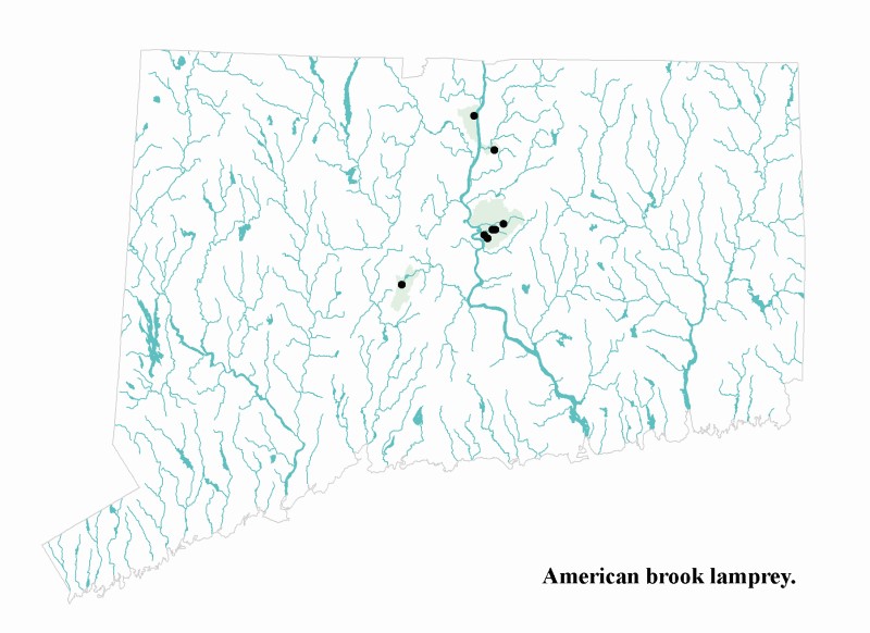 American brook lamprey distribution map.