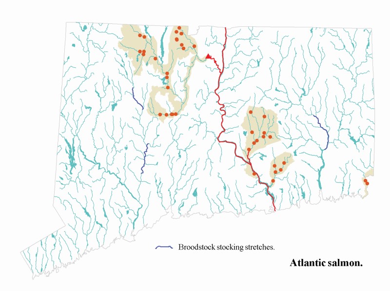 Atlantic salmon distribution map.