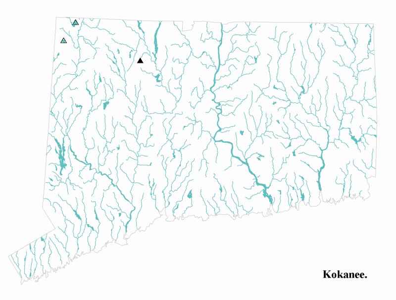 Kokanee salmon distribution map.