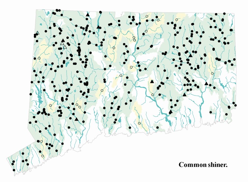 Common shiner distribution map.