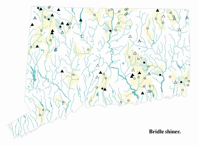 Range map for the bridle shiner.