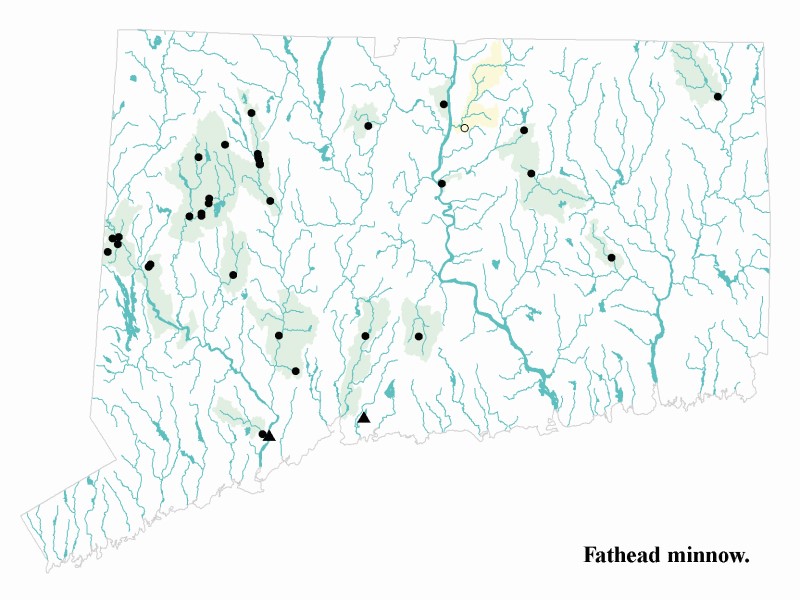  Fathead minnow terjesztési térkép.