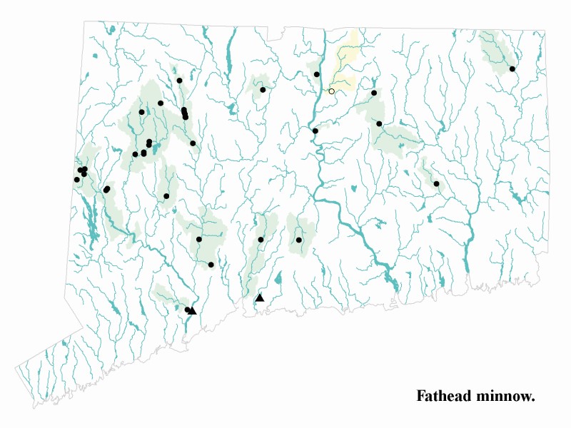Fathead minnow distribution map.