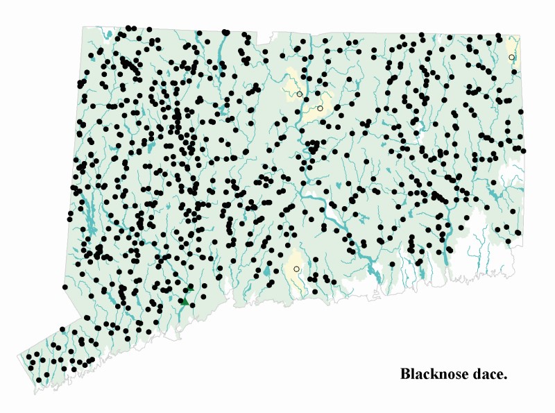 Blacknose Dace distribution map.