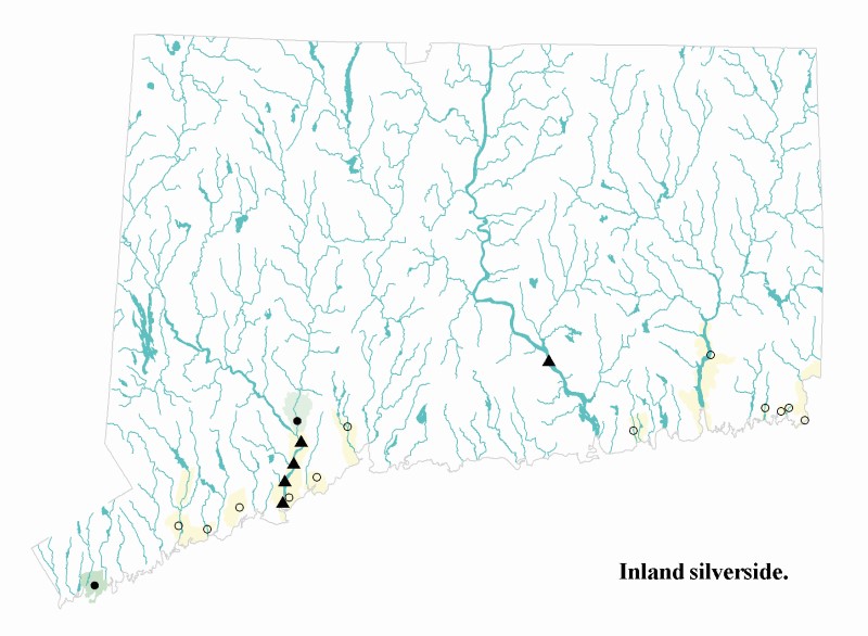 Inalnd silverside distribution map.