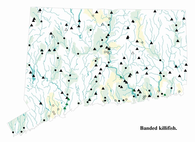 Banded Killifish distribution map.