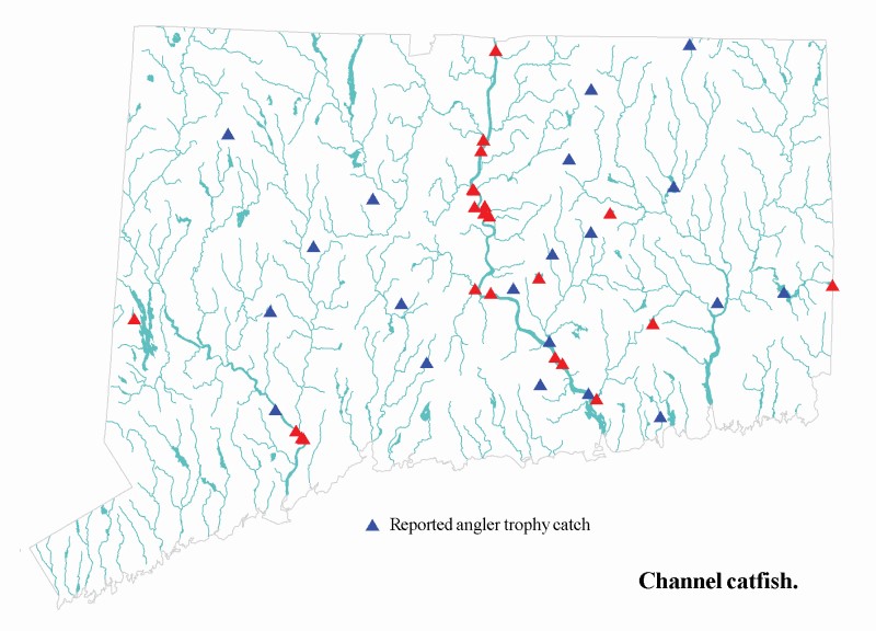 Channel catfish distribution map.