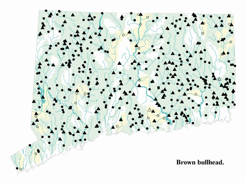 Brown bullhead distribution map.